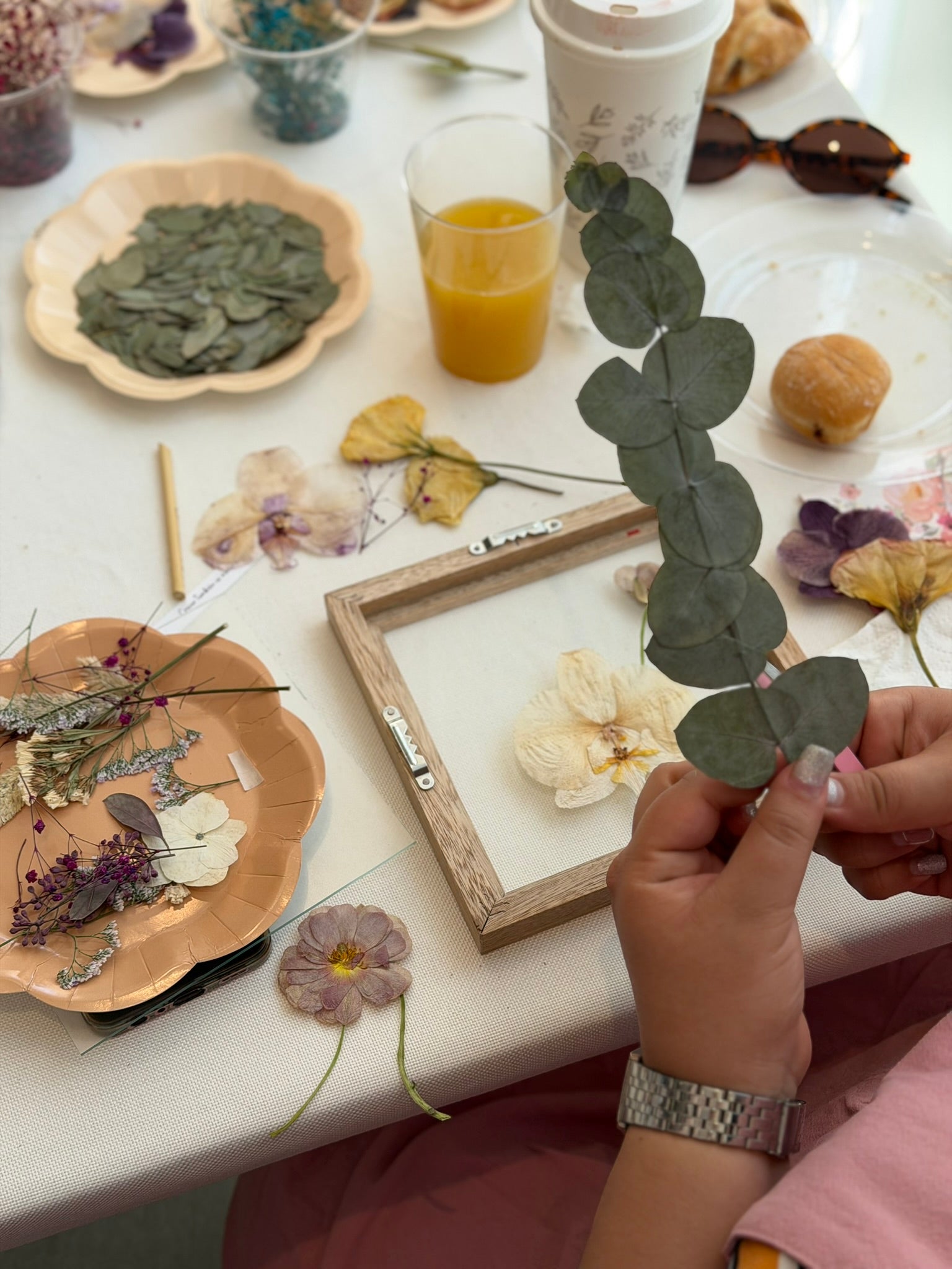Taller de Cuadros de Arte Botánico