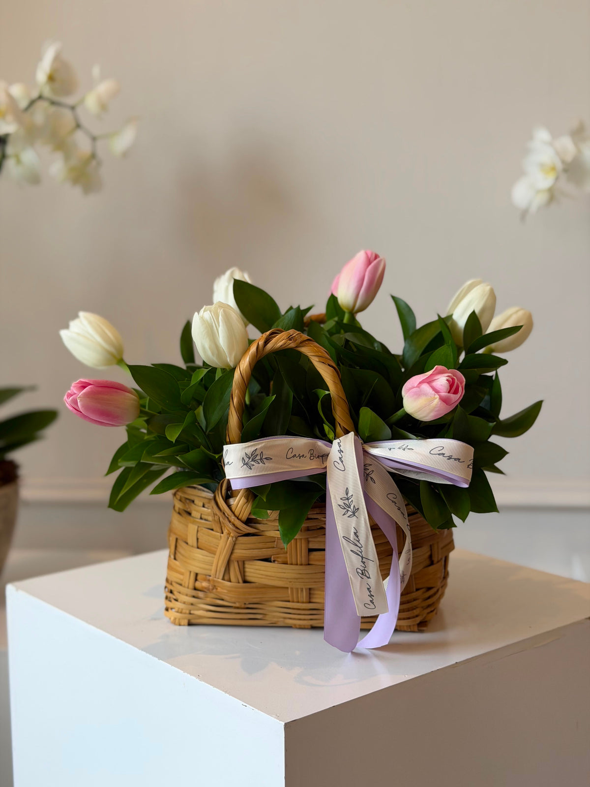 Mini Tulips Garden