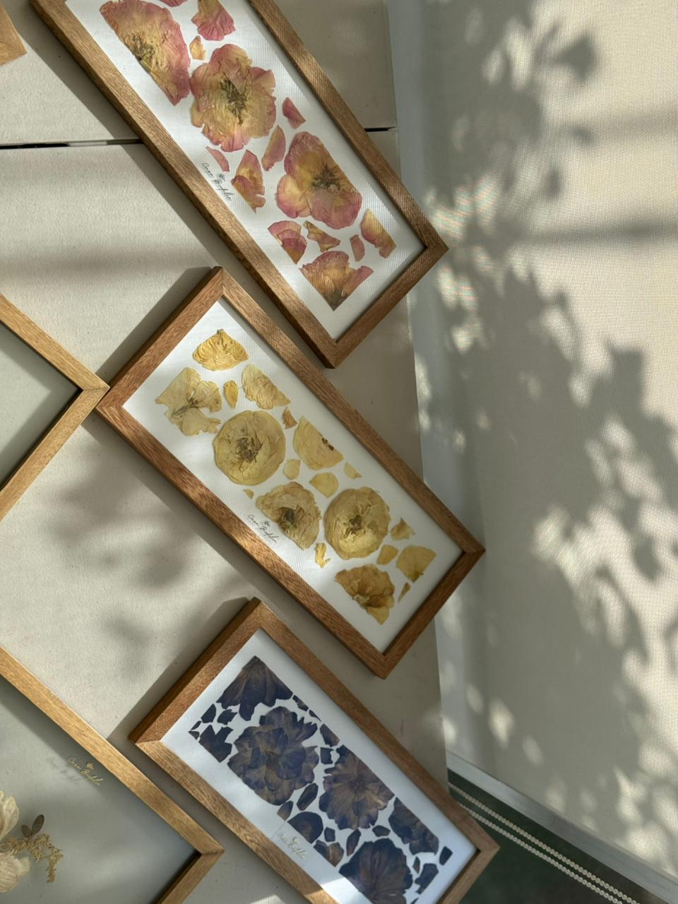 Cuadros disponibles