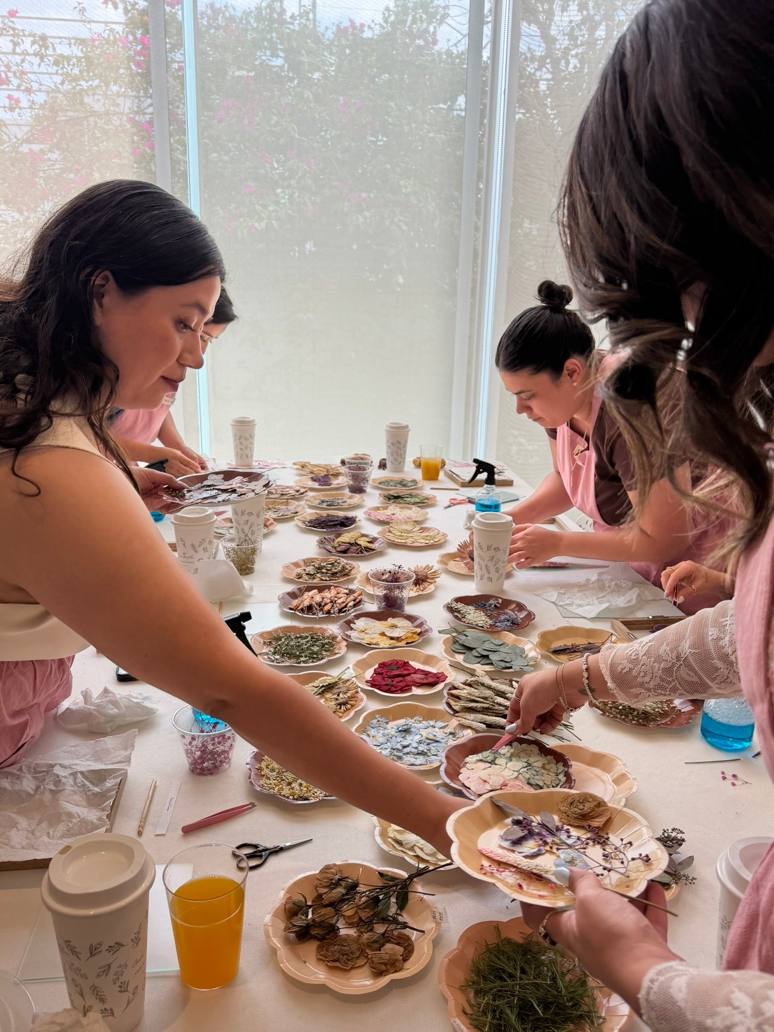 Taller de Cuadros de Arte Botánico
