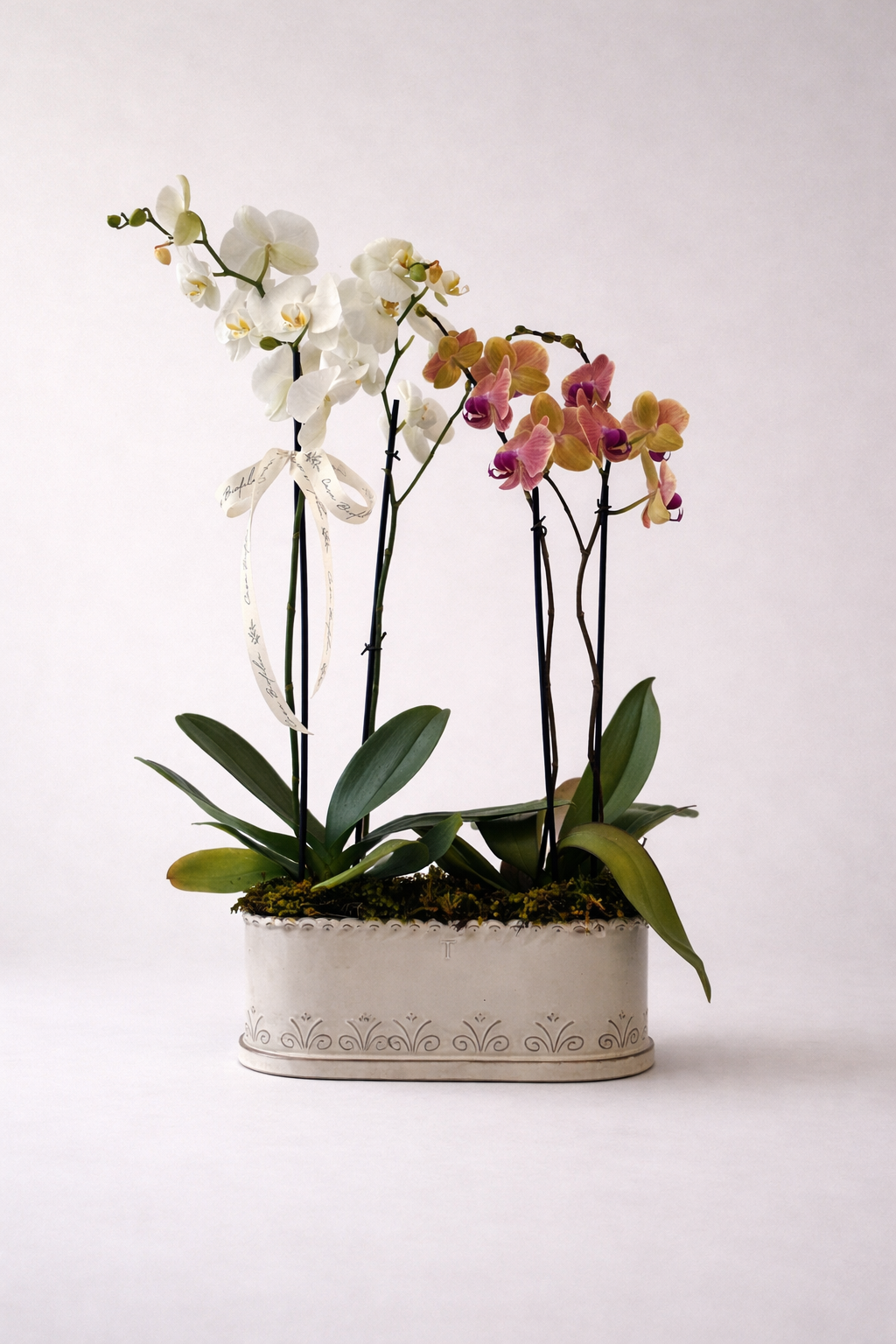 Arreglo de dos orquídeas