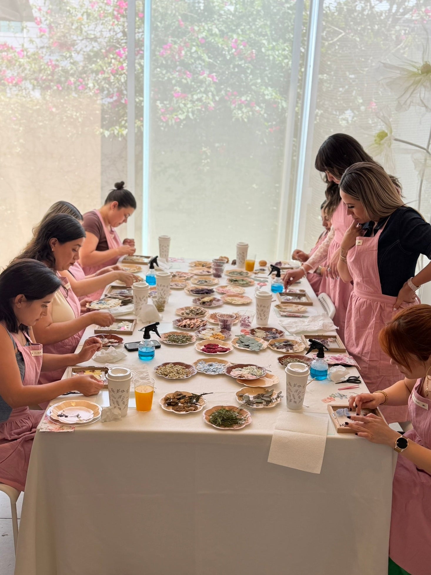 Taller de Cuadros de Arte Botánico