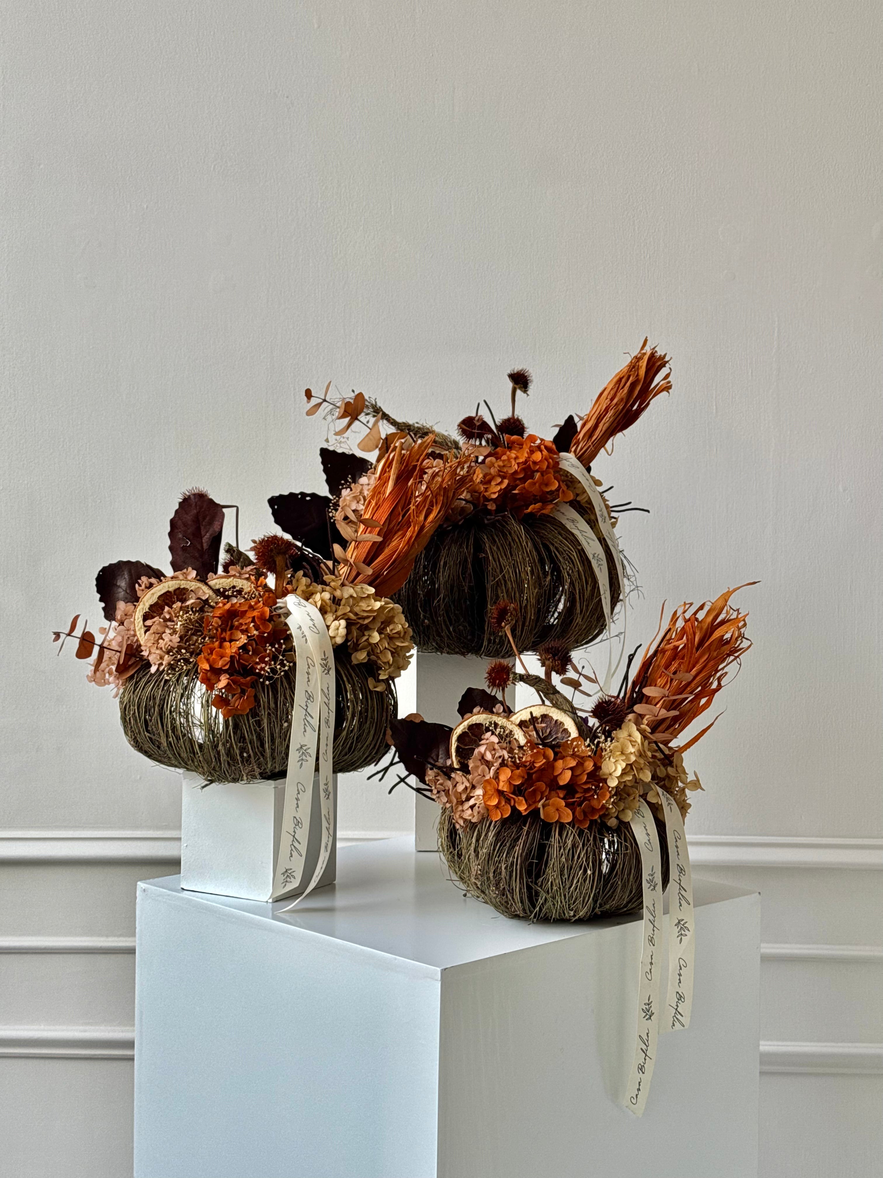 Set de calabazas de flores preservadas