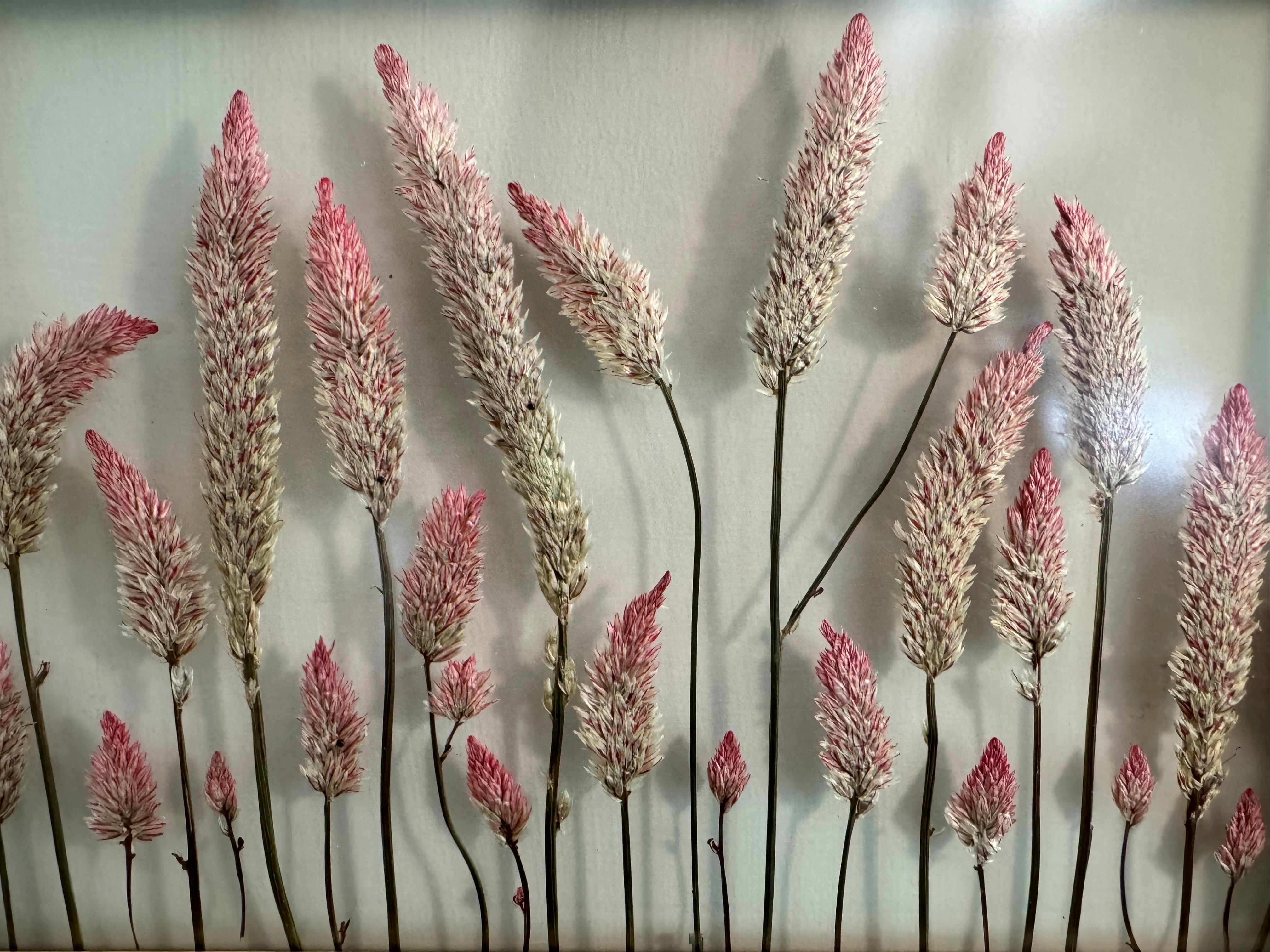 Pink Garden