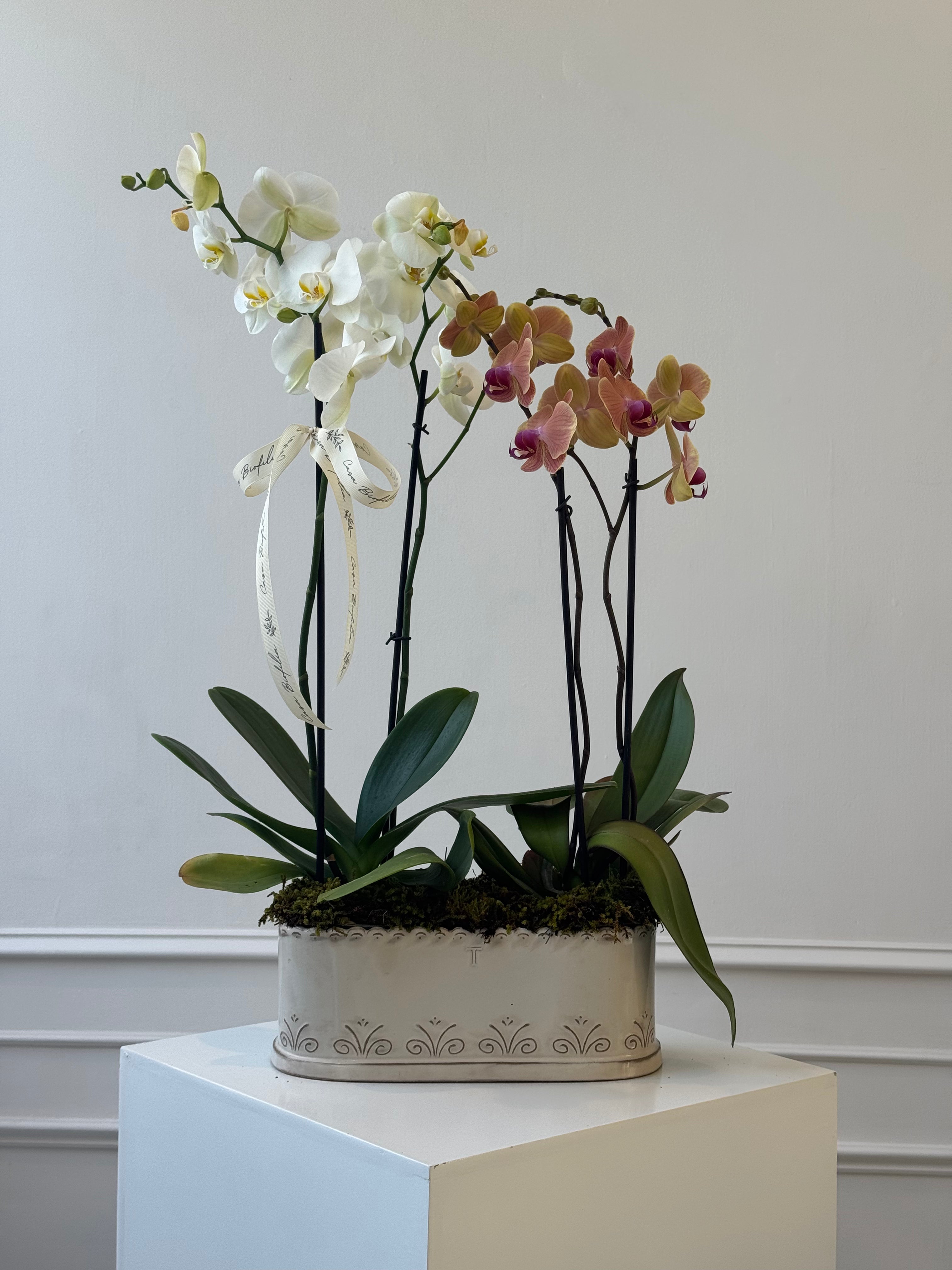 Arreglo de dos orquídeas