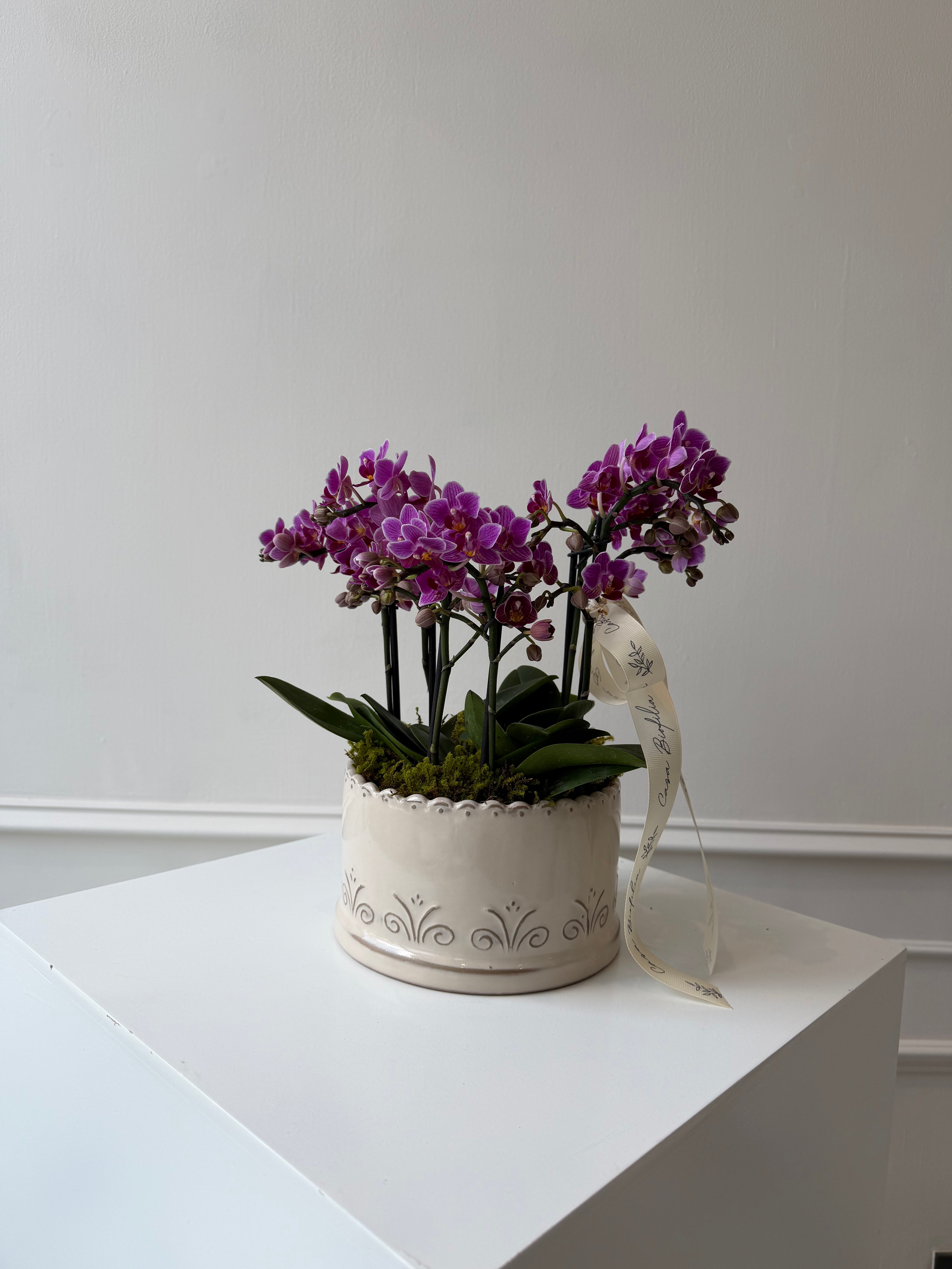 Arreglo de 3 orquídeas mini