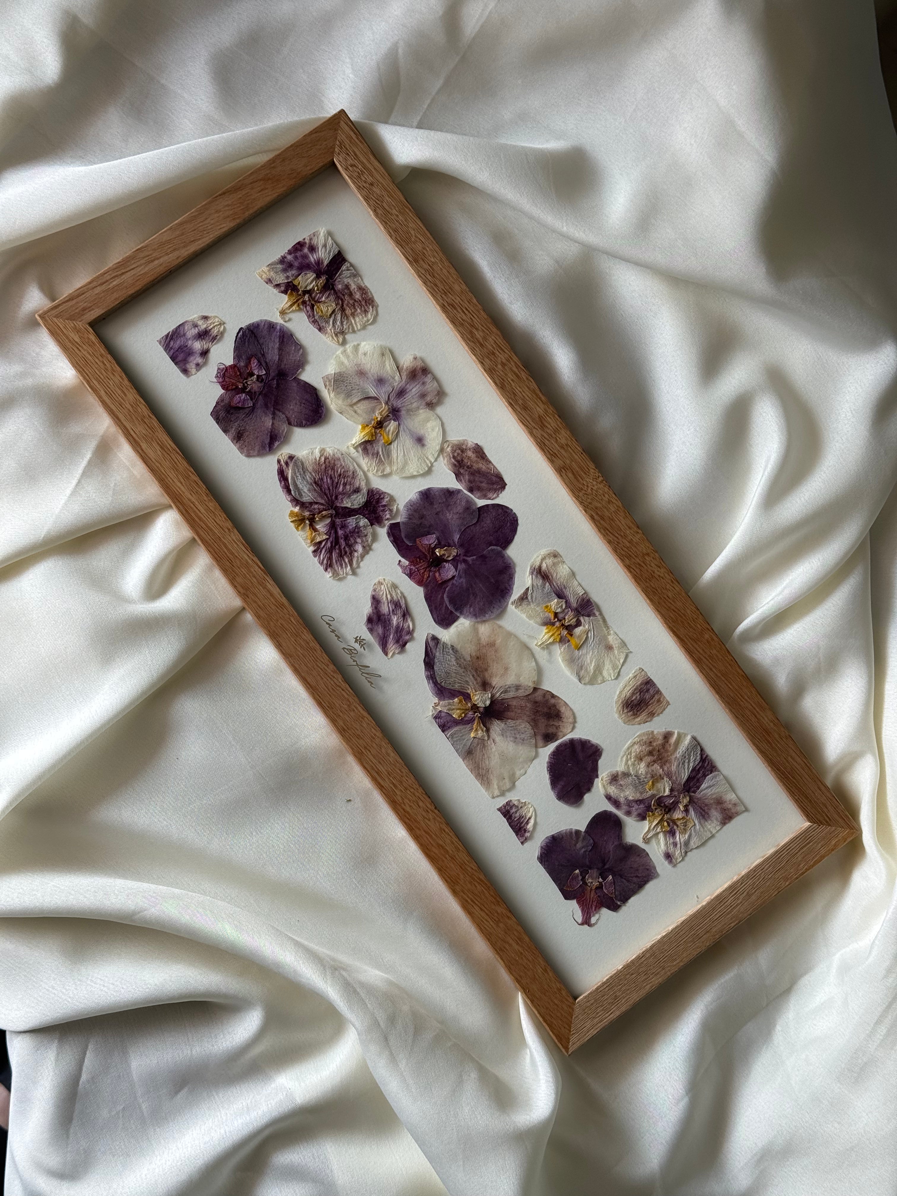 Orchids