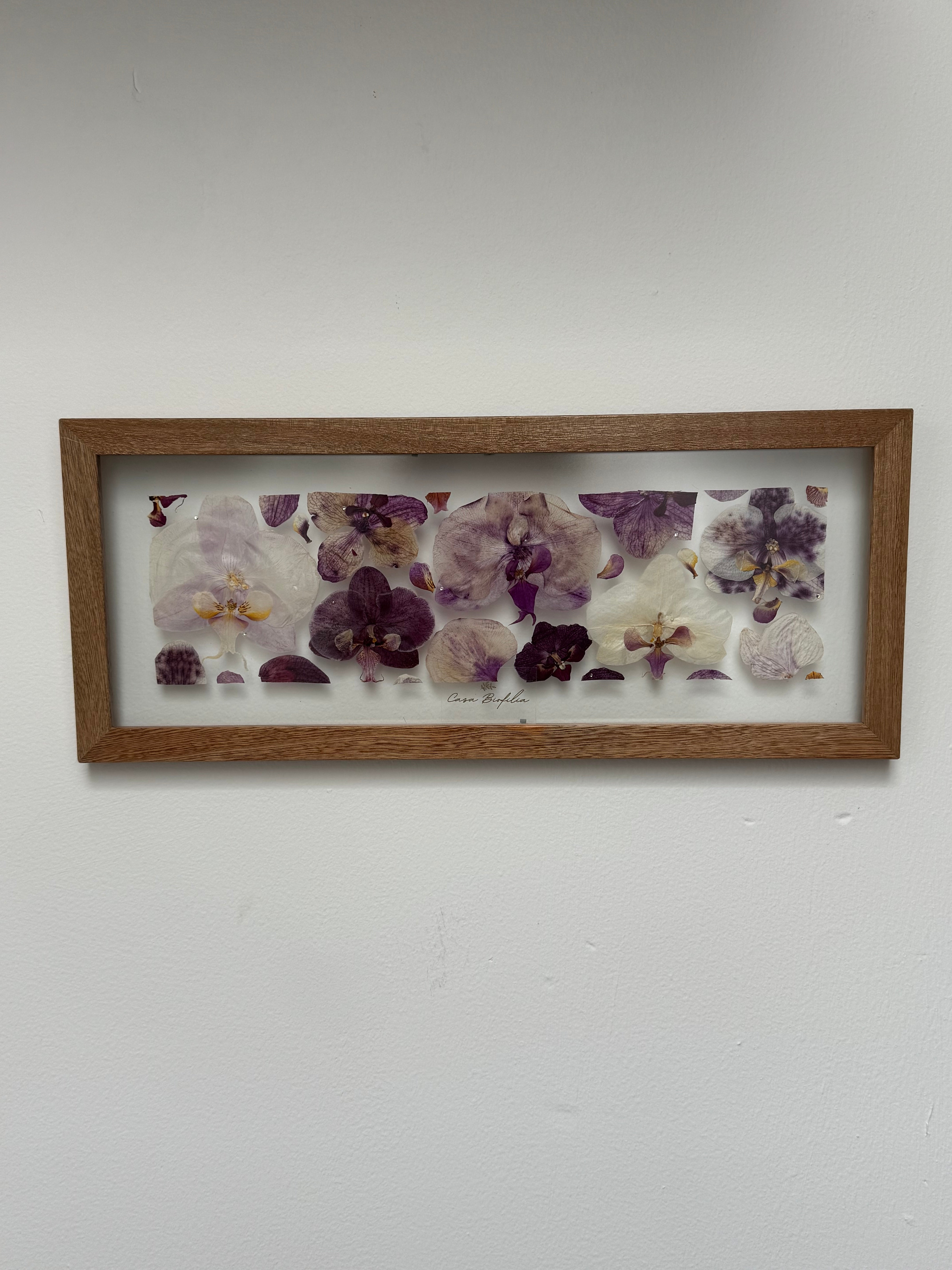 Orchids