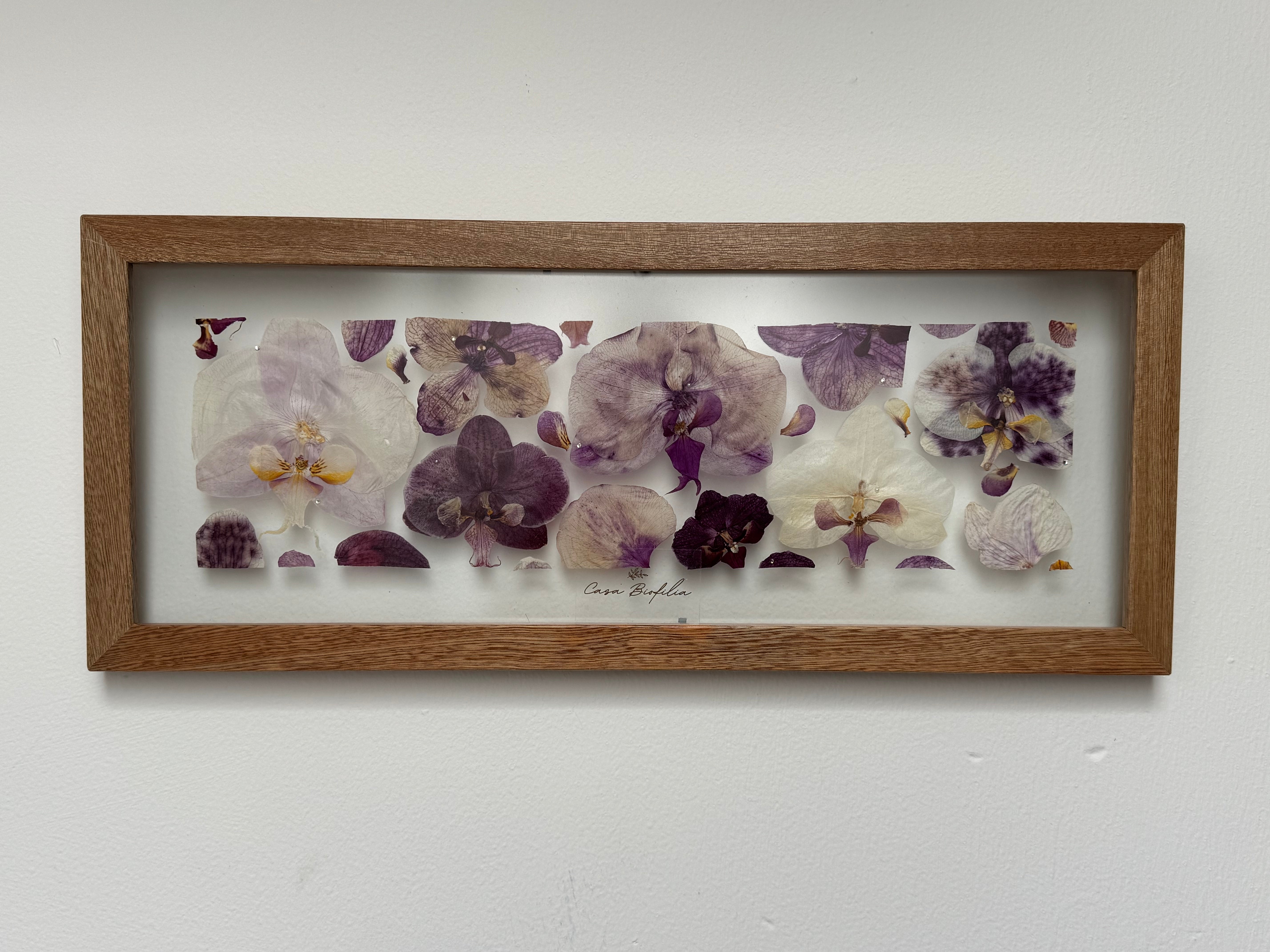 Orchids