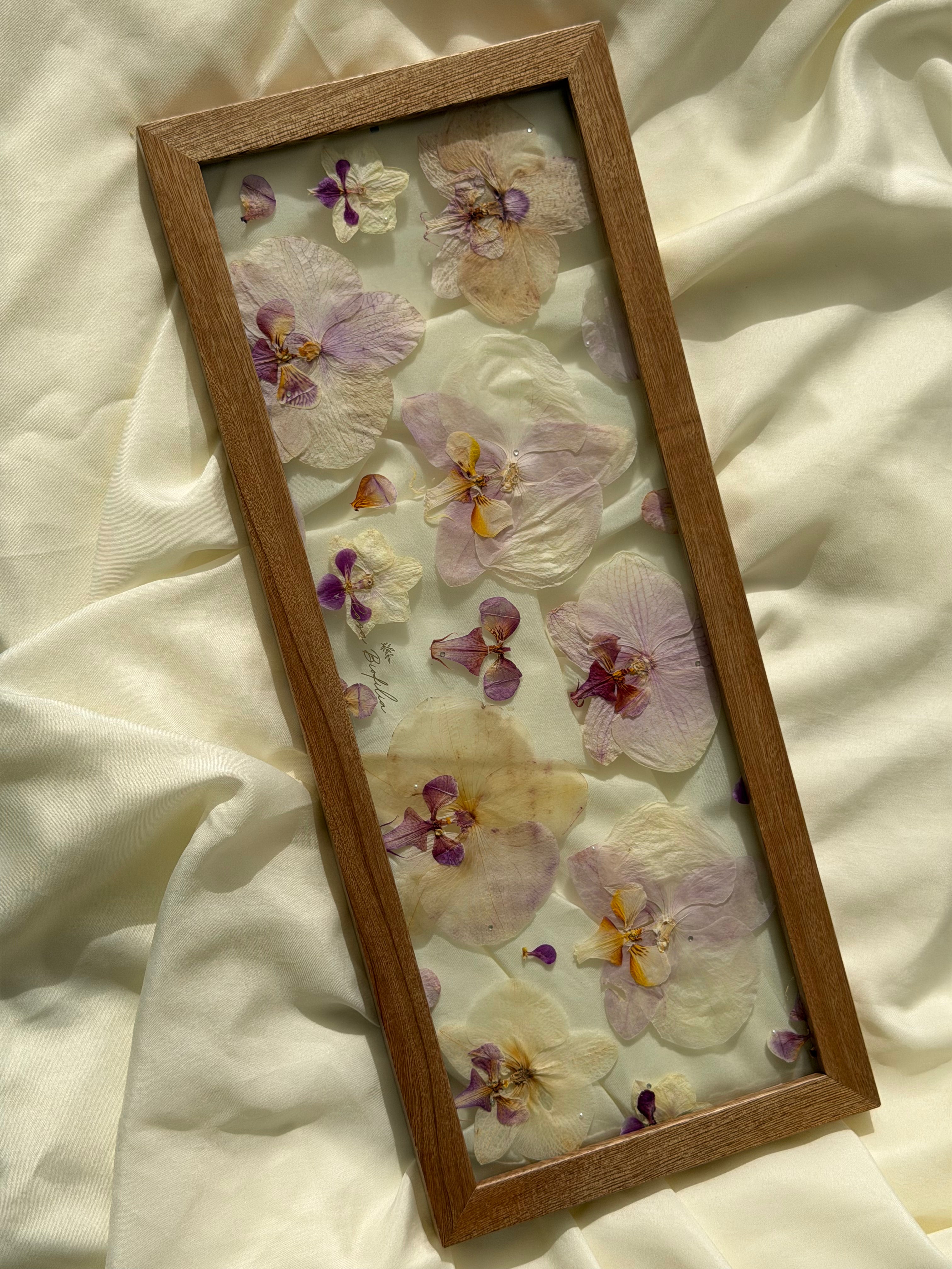 Orchids Full