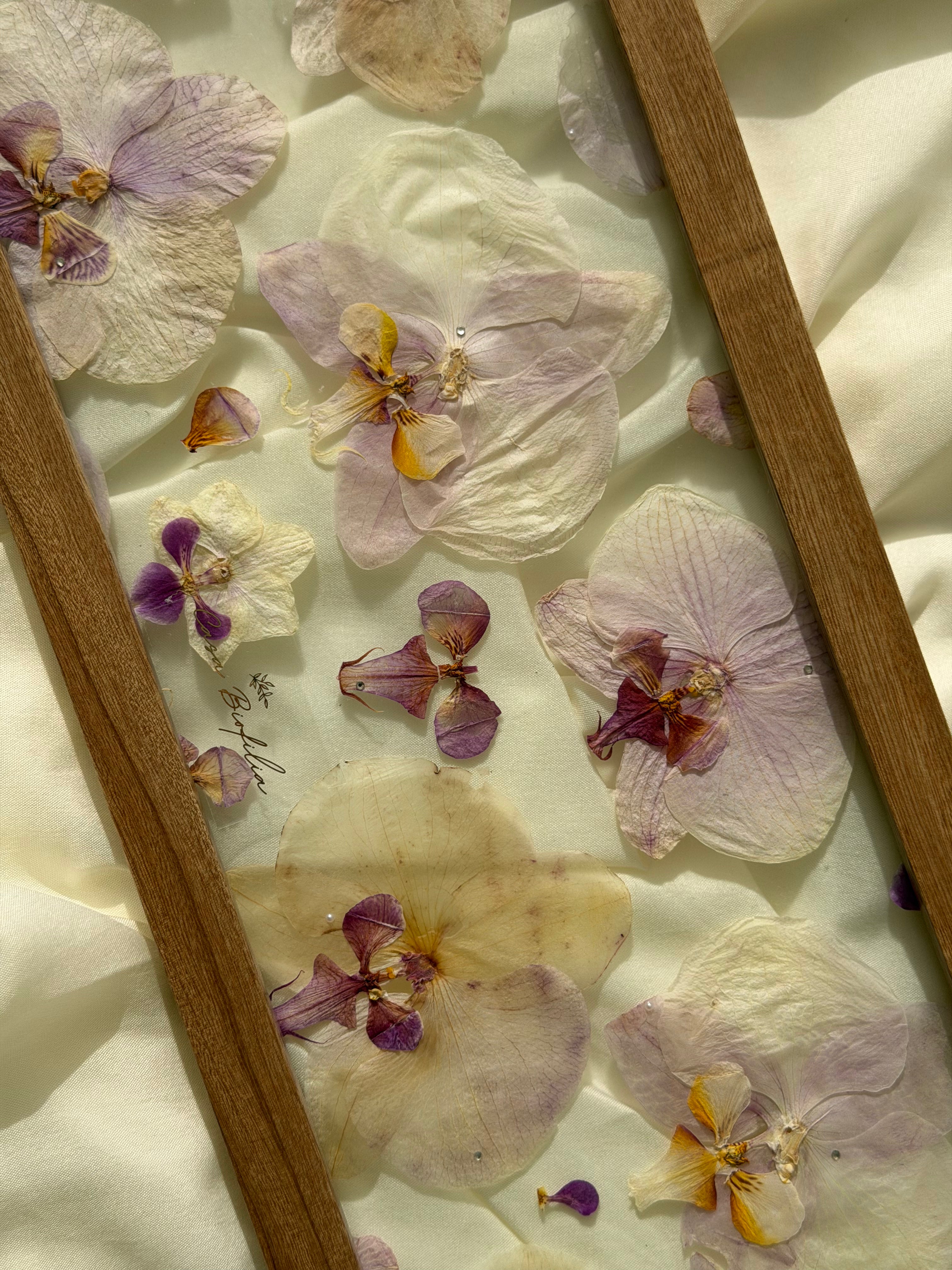 Orchids Full