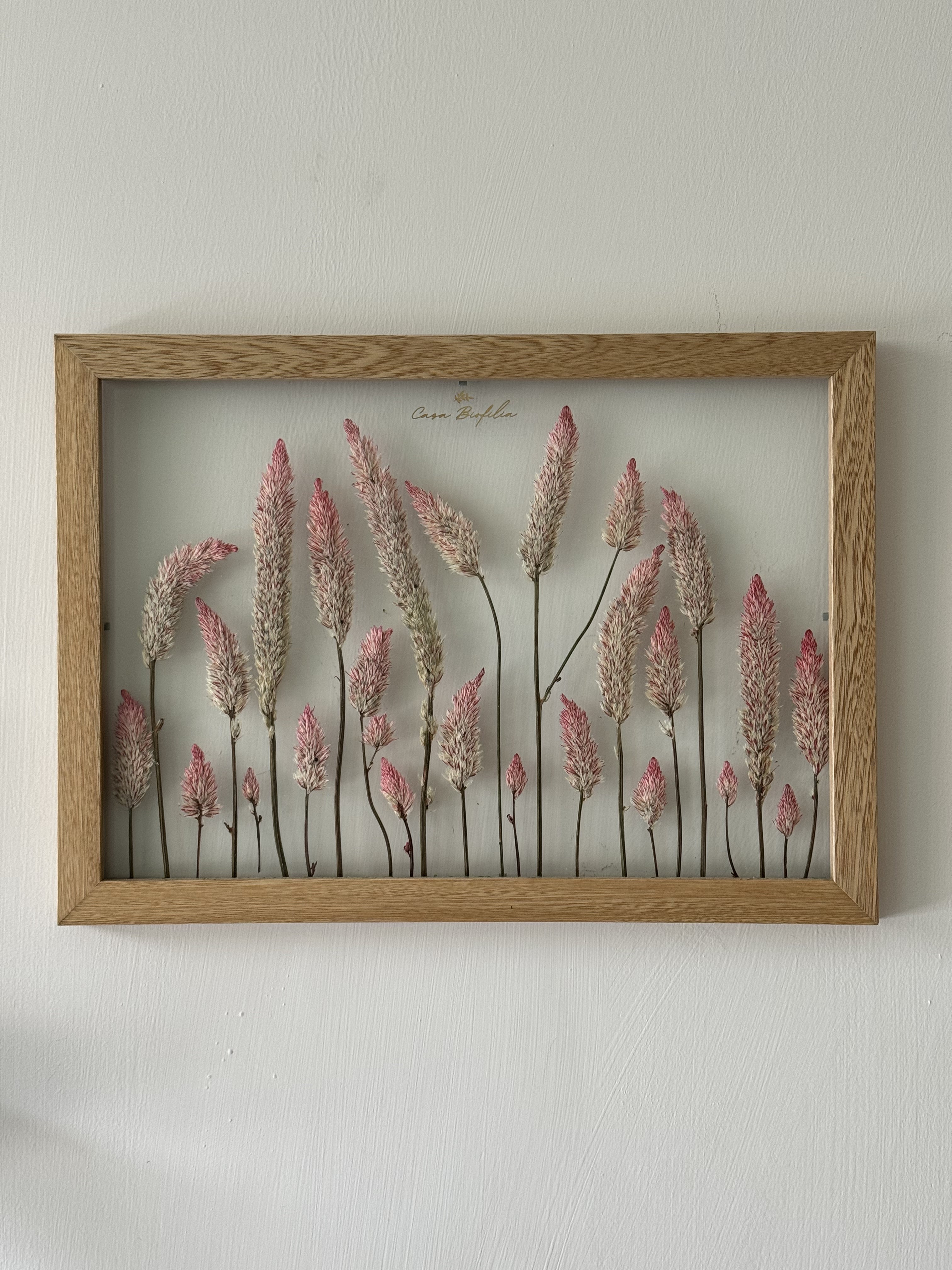 Pink Garden