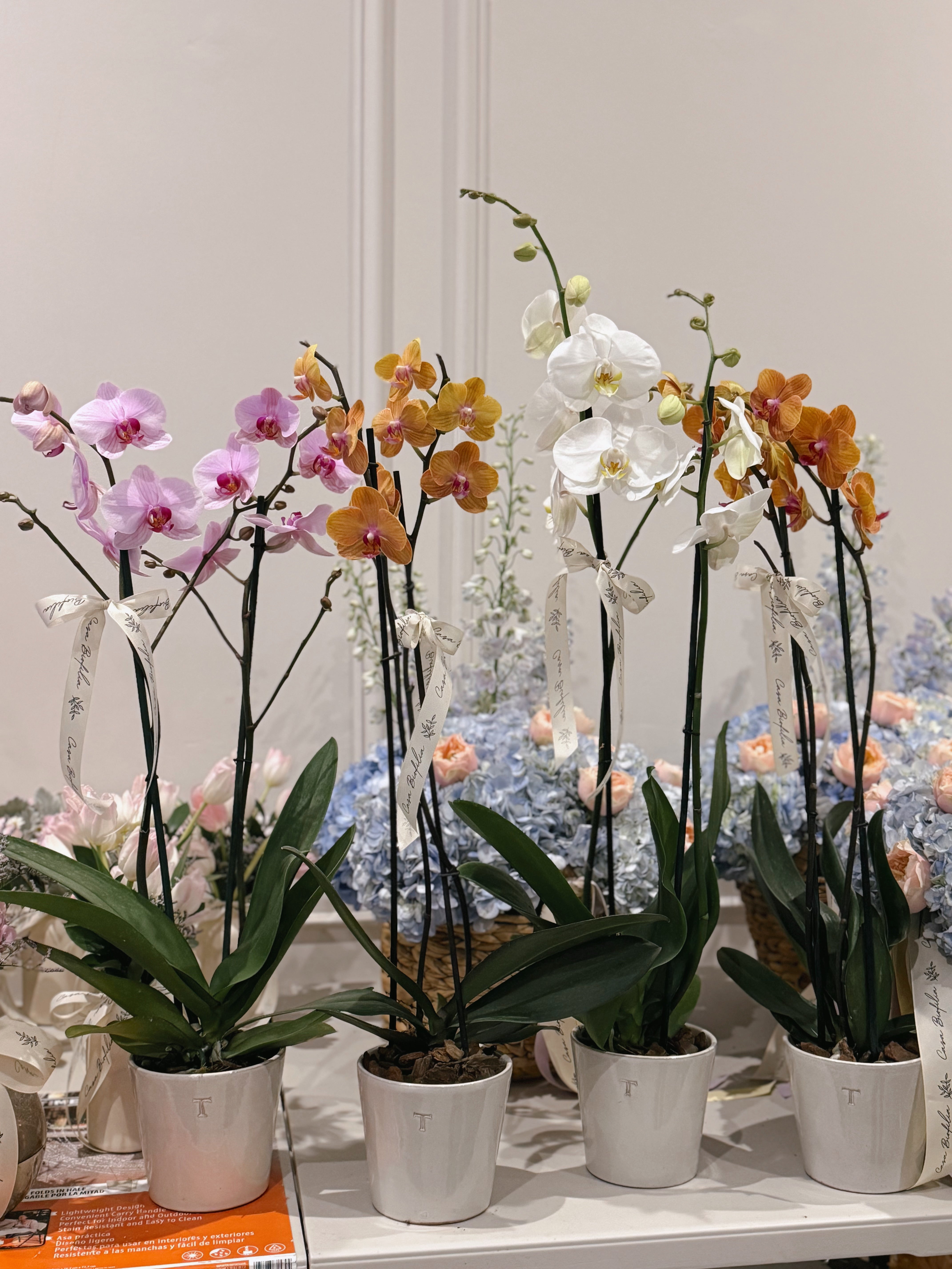 Arreglo de orquídea