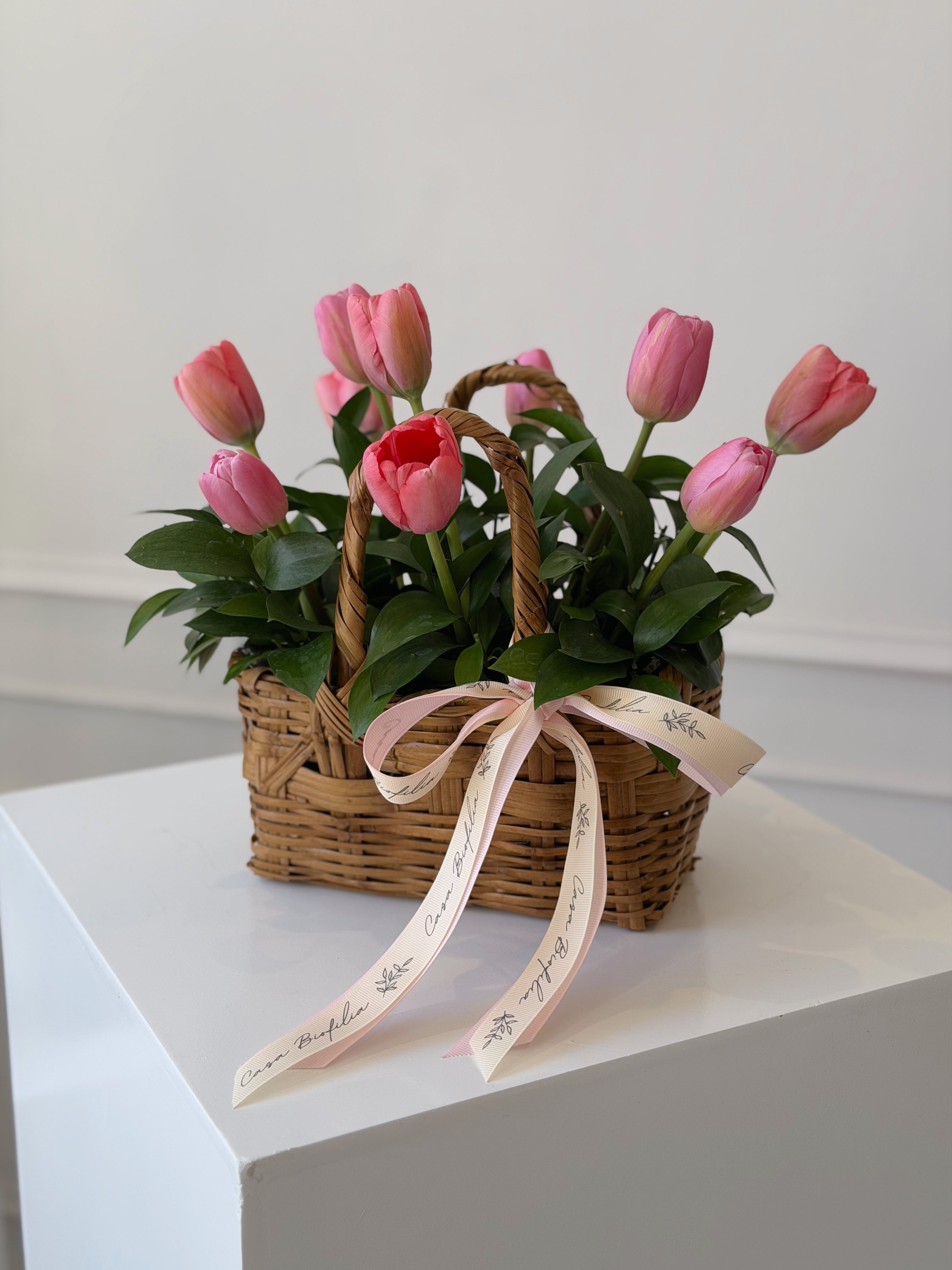 Mini Tulips Garden
