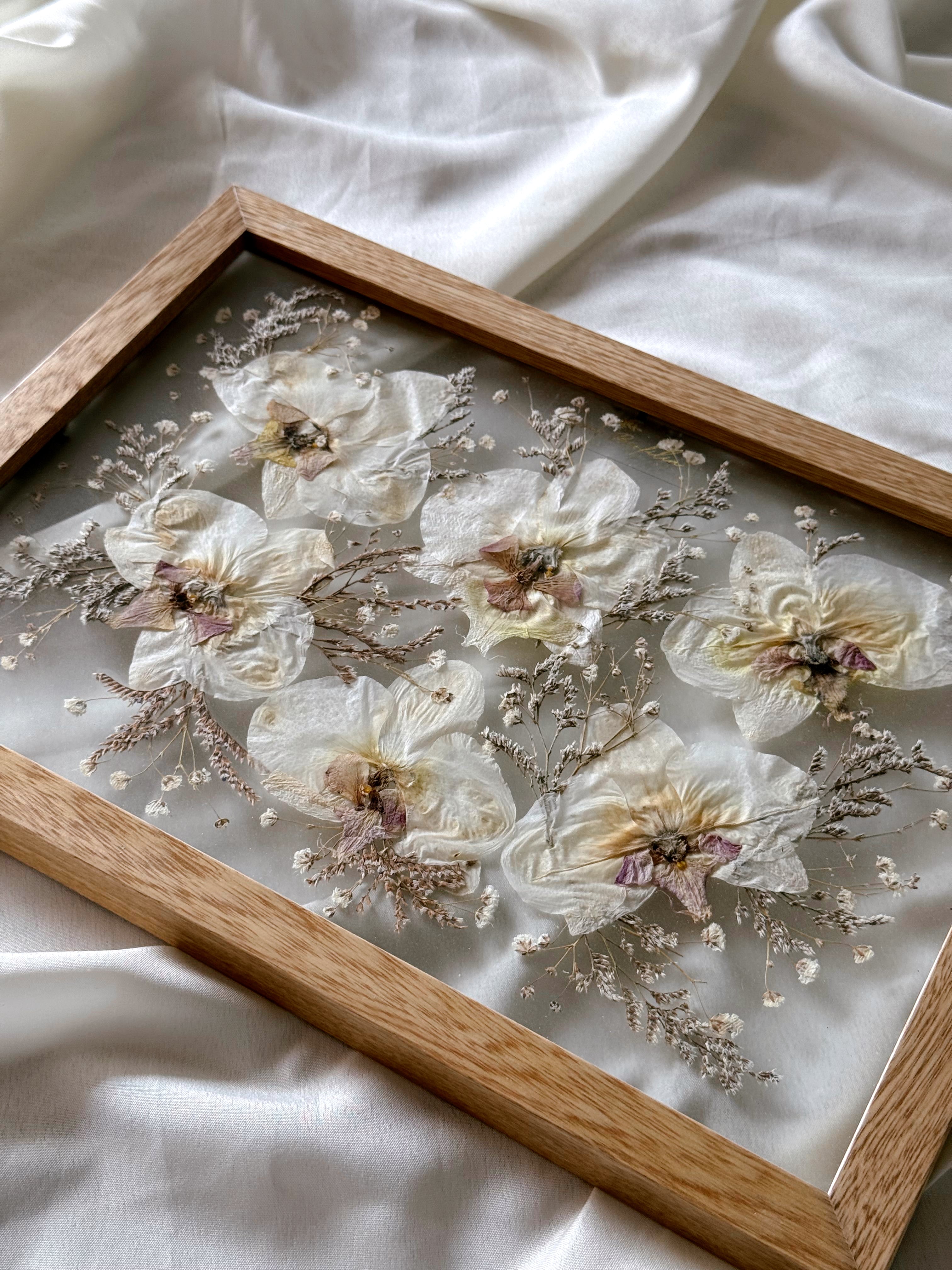 6 Orchids