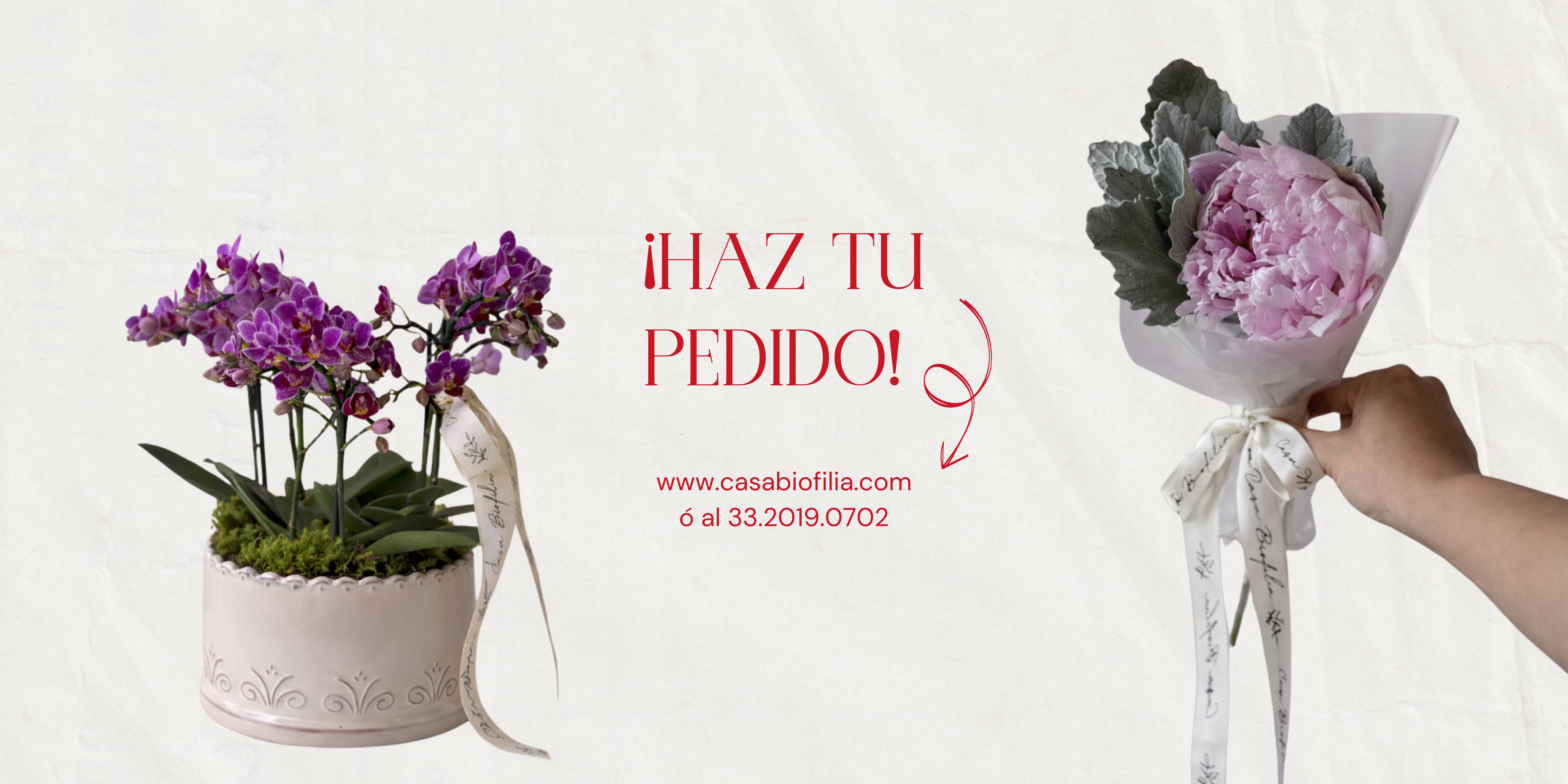 Regala peonias u orquideas para este san valentin