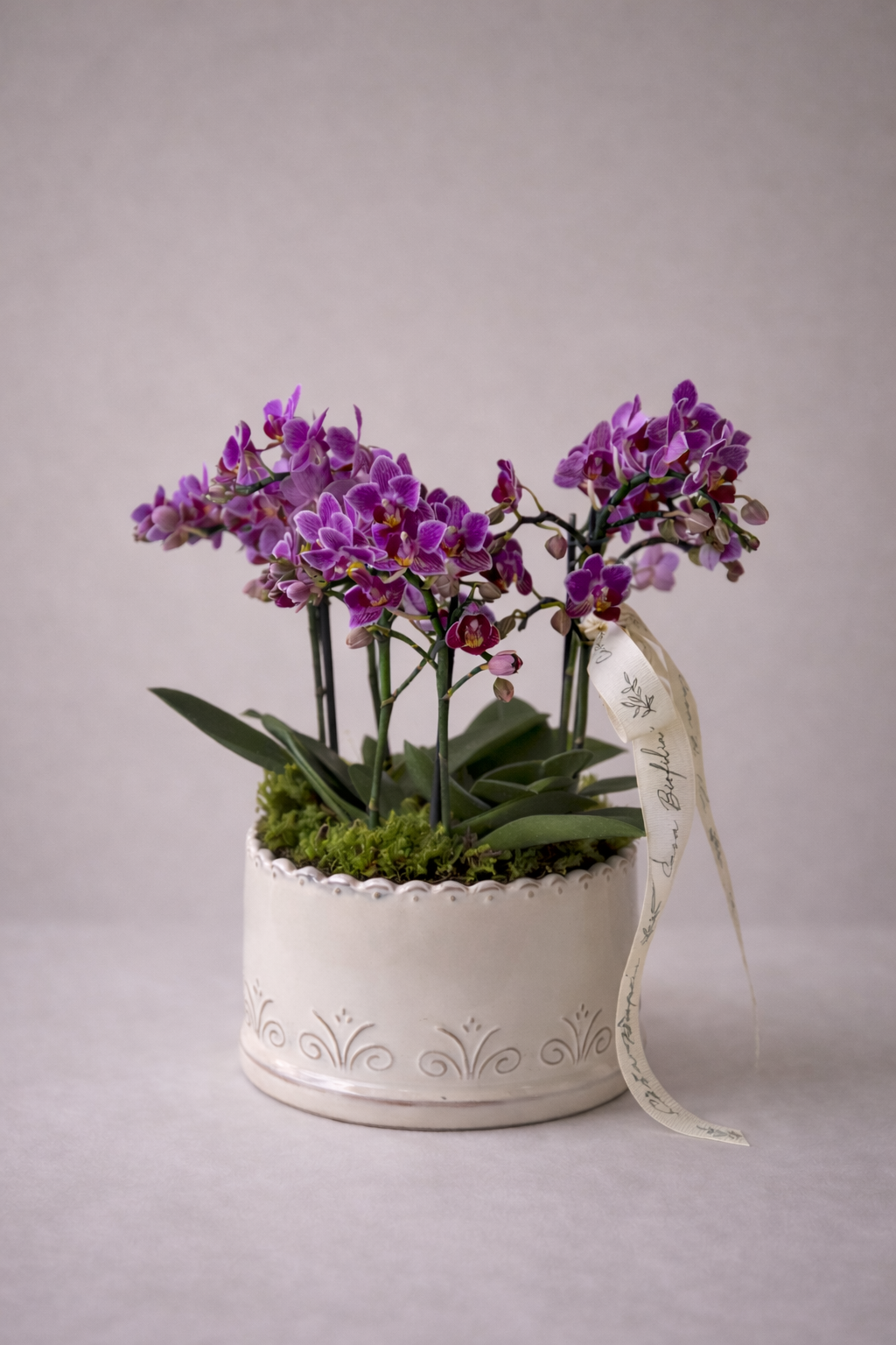 Maceta trinitate con orquidas mini ideal para san valentin